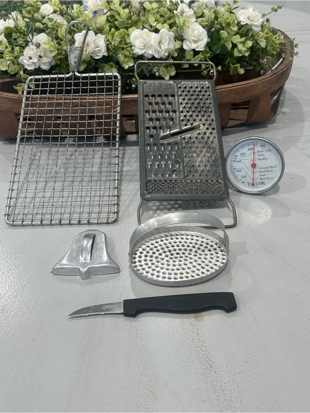 Taylor Stainless Dial Meat Thermometer with Red Needle